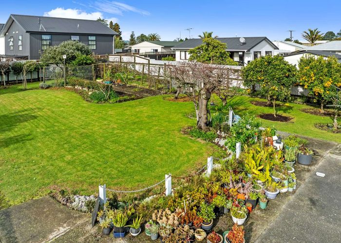  at 35 Sherson Street, Gate Pa, Tauranga, Bay Of Plenty