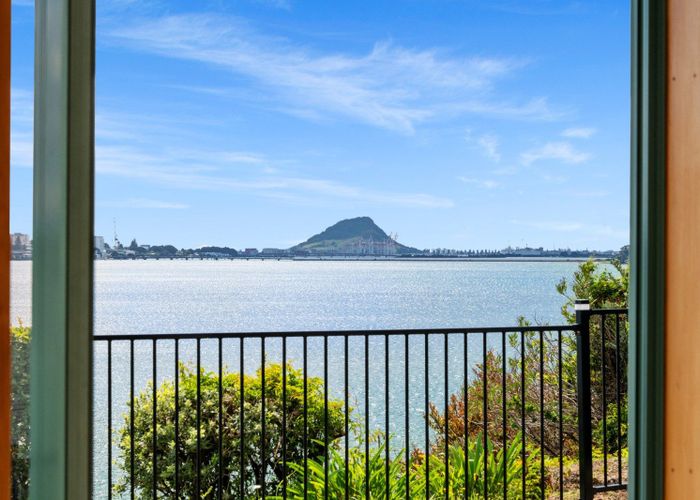  at 292A Maungatapu Road, Maungatapu, Tauranga