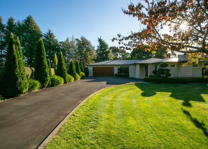  at 45 Lowe Road, Hamilton
