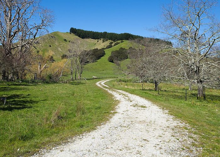  at 0 Wharekopae Road, Ngatapa, Gisborne