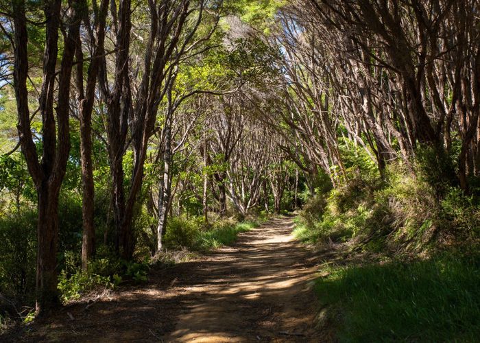 For sale Lot 2 D P 373005, Queen Charlotte Sounds, Marlborough