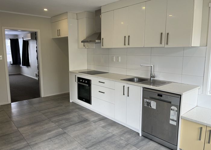  at 19 Parfitt Street, Mount Roskill, Auckland City, Auckland