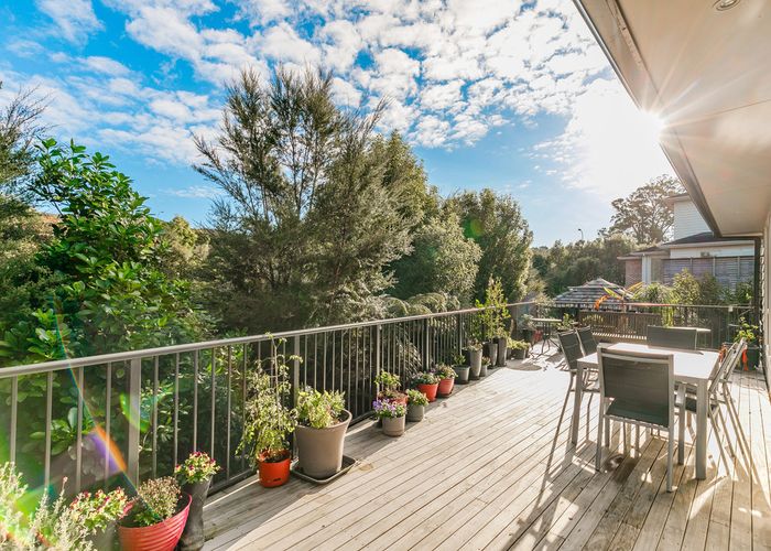  at 46 Hornbill Drive, Fairview Heights, Auckland