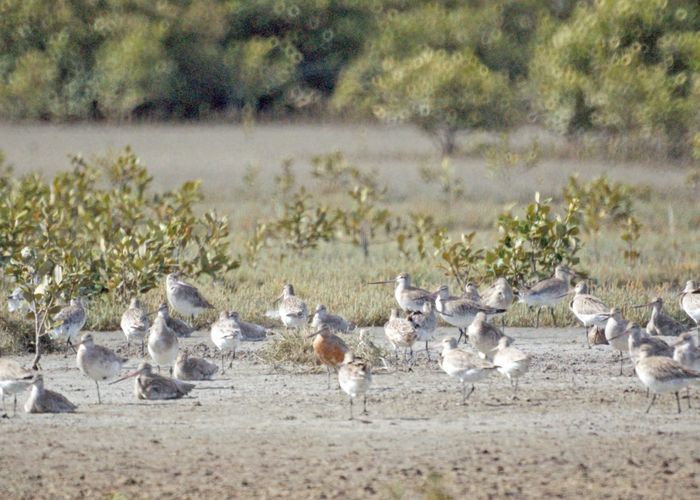  at 68D Tuparekura Road, South Head, Helensville, Rodney, Auckland