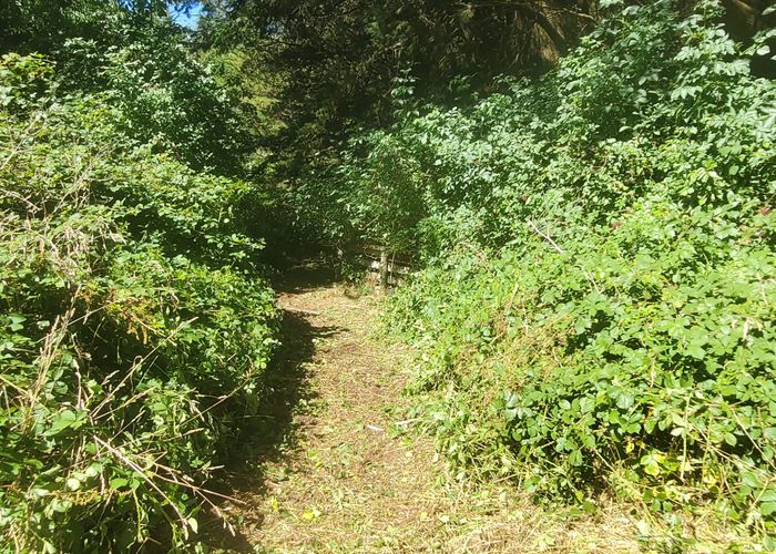  at 240 Sladdens Bush Road, Coopers Creek, Waimakariri, Canterbury