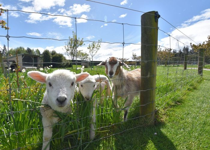  at 495 Mill Road North, Roslyn Bush, Invercargill