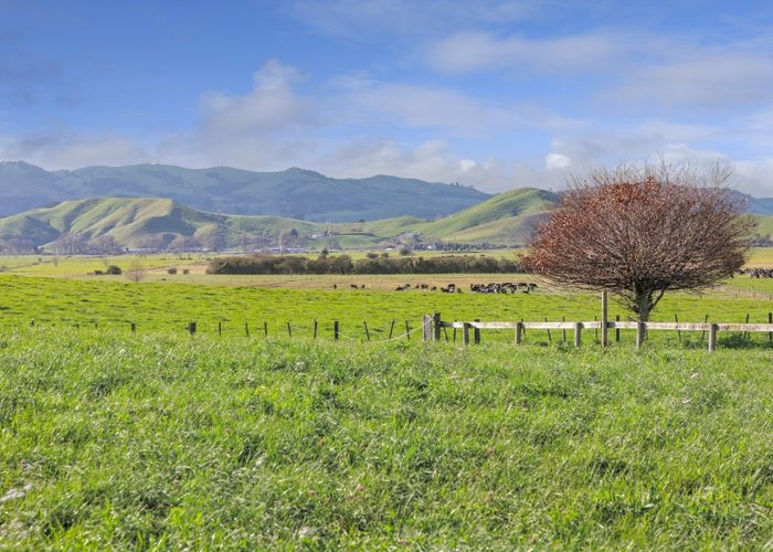  at 3074A Cambridge Road, Cambridge, Waipa, Waikato