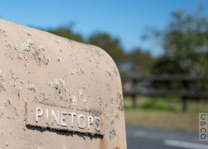  at 93 Lloyd Road, Albany