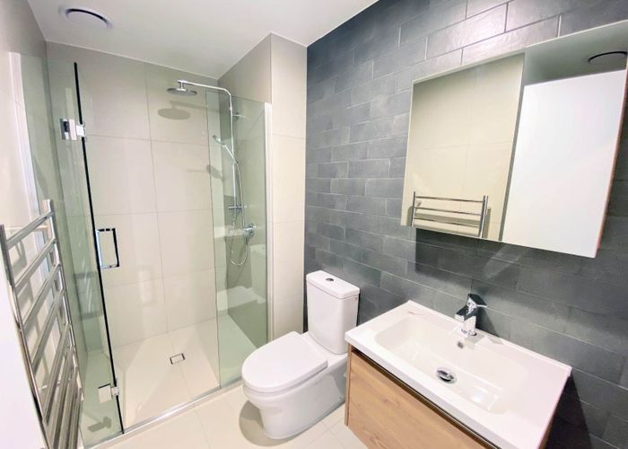  at 221/428 Dominion Road, Mount Eden, Auckland City, Auckland