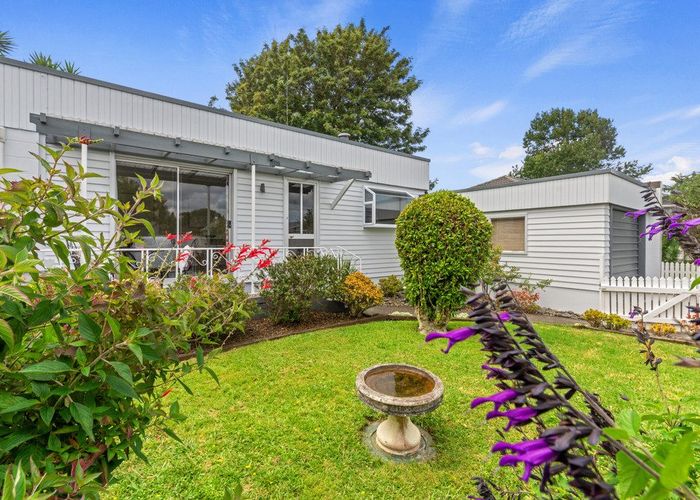  at 17 Newcastle Terrace, Mount Albert, Auckland City, Auckland