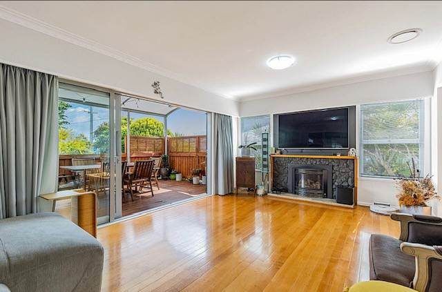  at 32 Sunnybrae Road, Hillcrest, North Shore City, Auckland