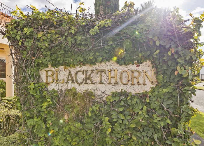  at 23 La Lena Grove, Fitzherbert, Palmerston North