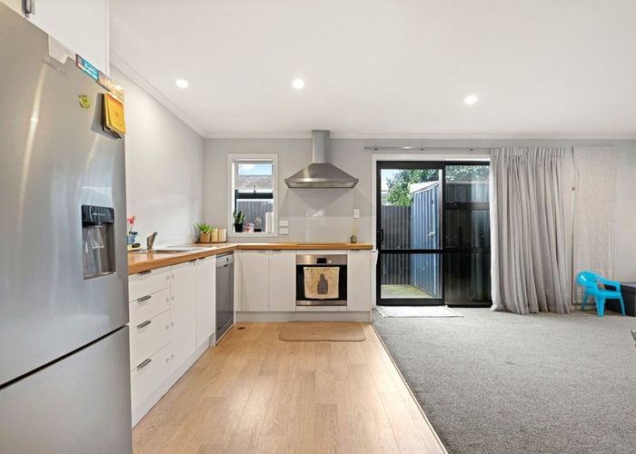  at 1/3 Charlemont Street, Whitiora, Hamilton, Waikato