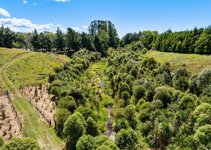  at 8 Pine Ridge Lane, Aongatete, Western Bay Of Plenty, Bay Of Plenty