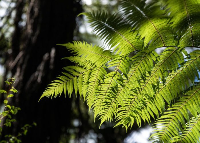  at 281B Lund Road, Katikati