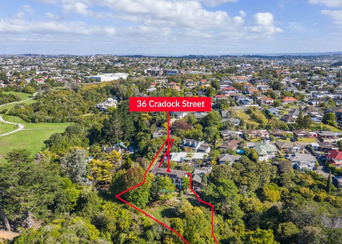  at 36 Cradock Street, Avondale, Auckland