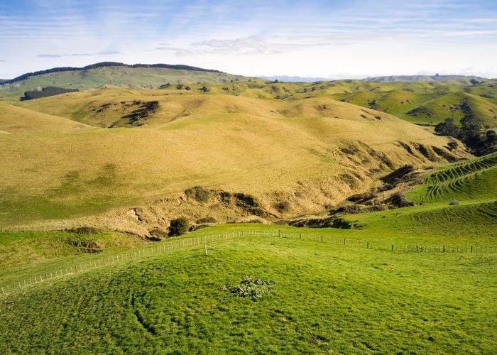  at 501 Kawera Road, Okawa, Hastings