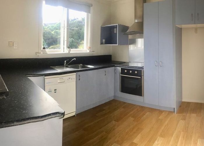  at 17 Tower Avenue, Waverley, Dunedin, Otago