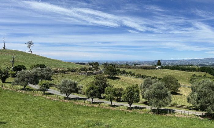  at 461B Minden Road, Tauranga