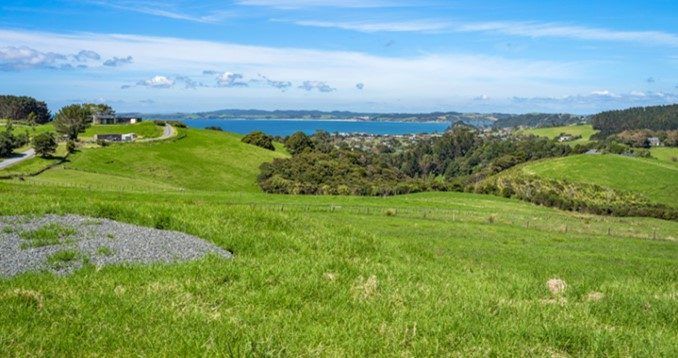  at 98 Cape Rodney Road, Leigh, Rodney, Auckland