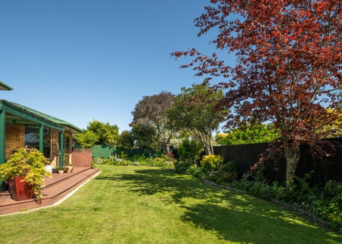  at 44 Westhaven Place, Redwoodtown, Blenheim