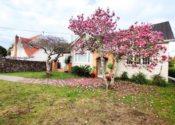  at 50 Saint Andrews Road, Epsom, Auckland City, Auckland