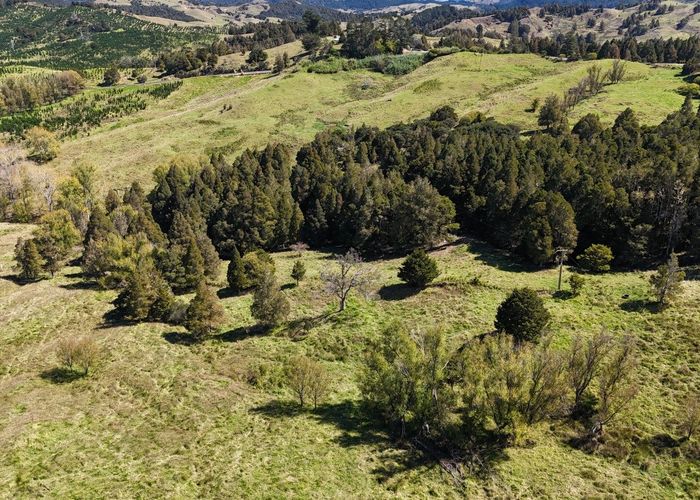  at 46 Buchanan Road, Broadwood, Far North, Northland