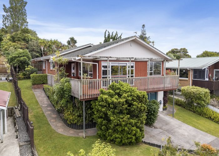  at 17 Dallas Place, New Windsor, Auckland