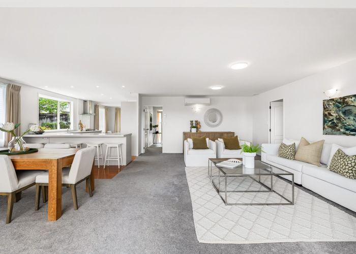  at 161a Ladies Mile, Ellerslie, Auckland City, Auckland