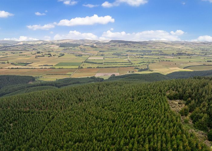  at Benmore II Forest, Winton, Southland, Southland
