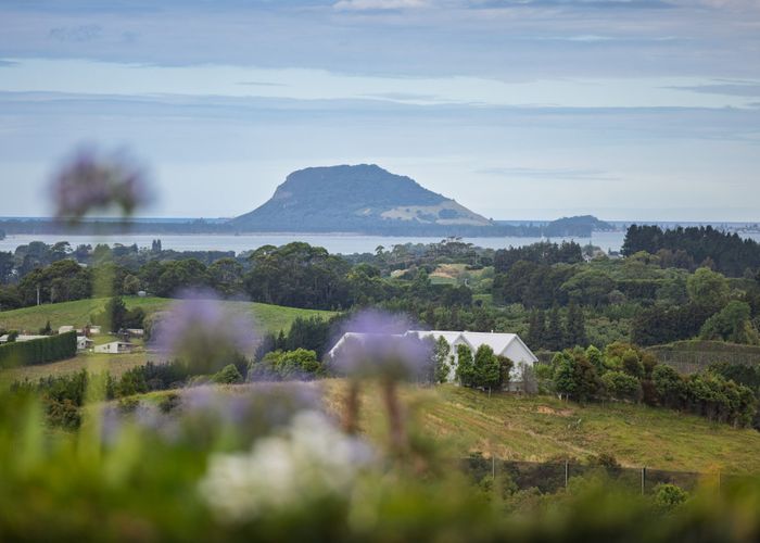  at 286 Youngson Road, Whakamarama, Western Bay Of Plenty, Bay Of Plenty