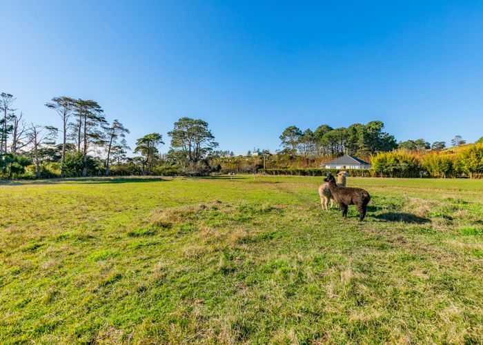  at 219 Waitakere Road, Henderson