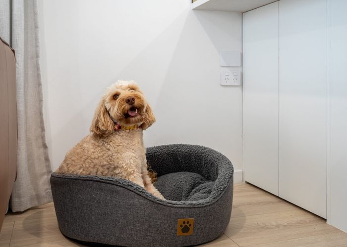  at 1/24 Bayview Road, Bayview, North Shore City, Auckland