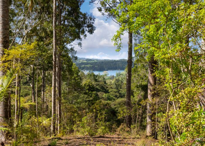  at 85 Brick Bay Drive, Sandspit, Warkworth