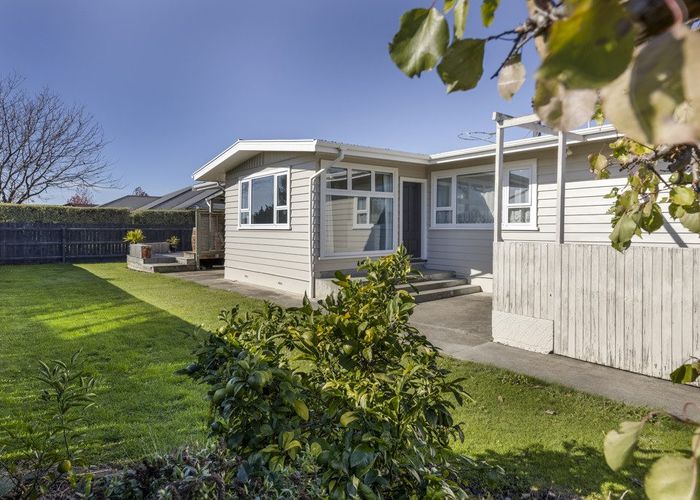  at 77 Redwood Street, Redwoodtown, Blenheim, Marlborough