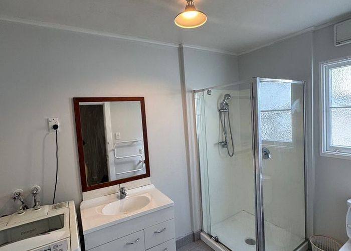  at 166A Hanson Street, Newtown, Wellington, Wellington