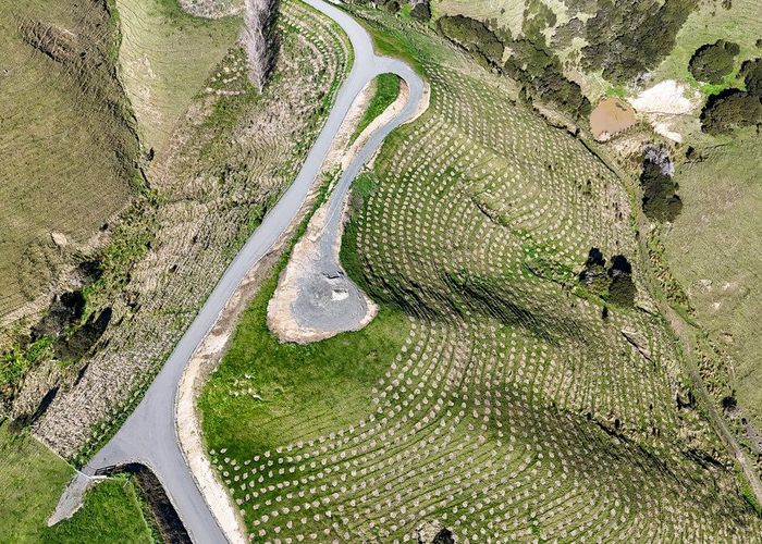  at 24 Sinclair Way, Martinborough, South Wairarapa, Wellington