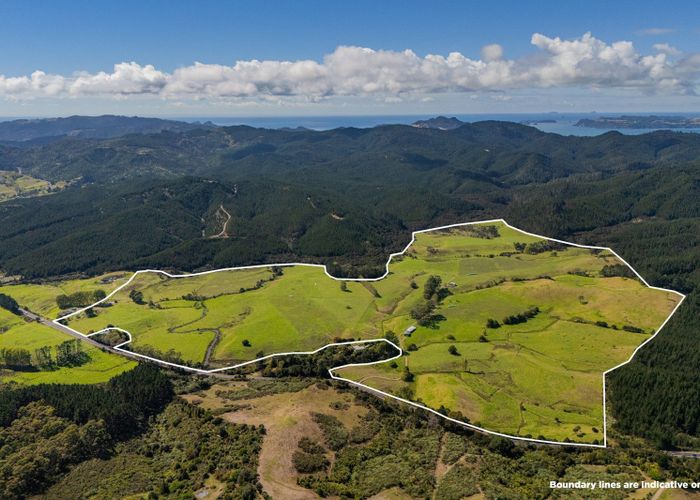  at 650 Sh25 Te Rerenga-Kuaotunu Road, Matarangi, Thames-Coromandel, Waikato