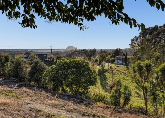  at 213F Minden Road, Minden, Tauranga