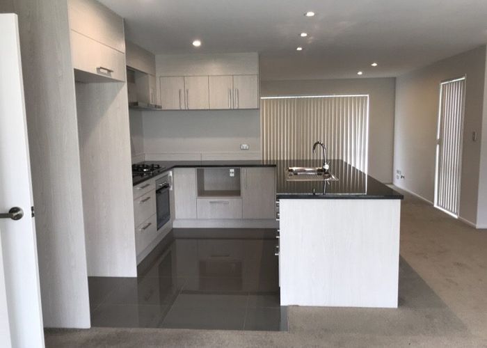  at 219 Porchester Road, Takanini, Papakura, Auckland