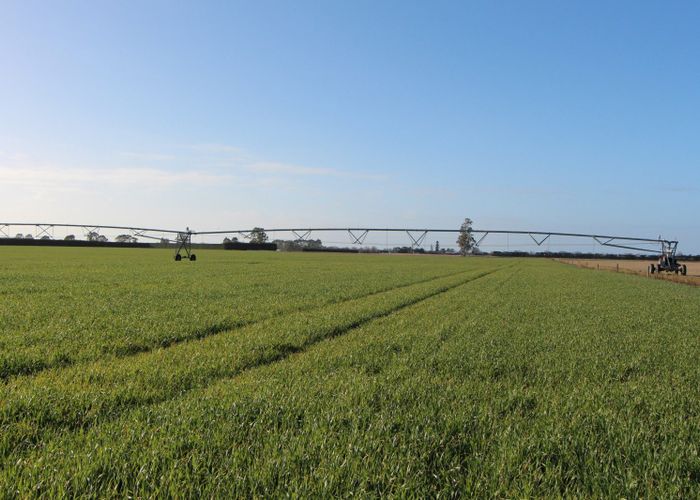  at 17 Divan Road, Levels, Timaru, Canterbury