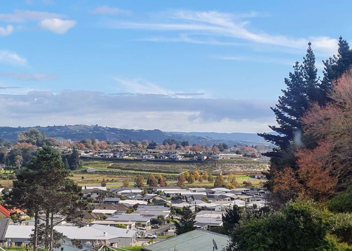  at 8 The Drive, Brookfield, Tauranga, Bay Of Plenty