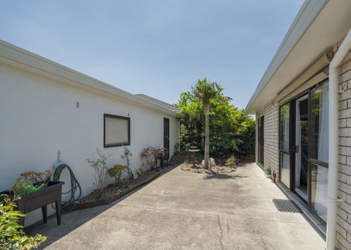  at 55A Seventeenth Avenue, Tauranga South, Tauranga