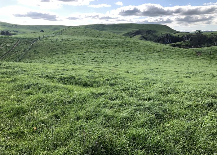  at 428 Whatauri Road, Wharepapa South