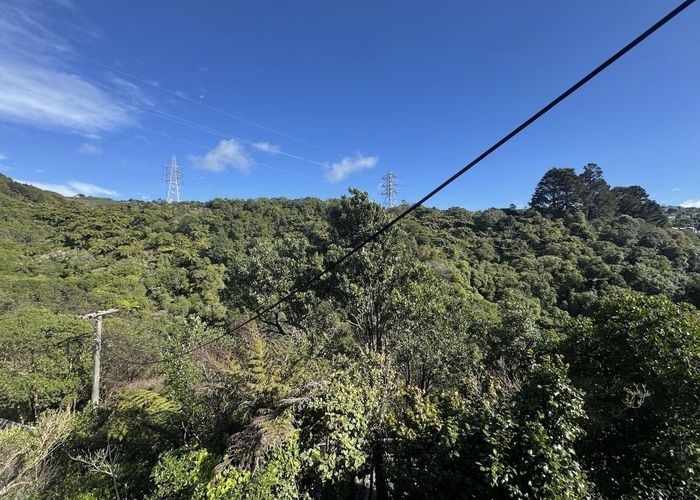  at 53 Durham Street, Aro Valley, Wellington, Wellington