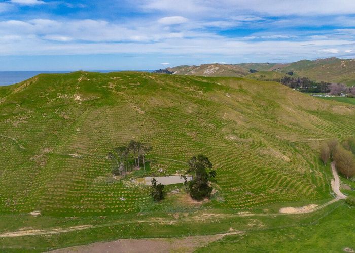  at 25 Punawaitai Road, Pourerere, Central Hawke's Bay, Hawke's Bay