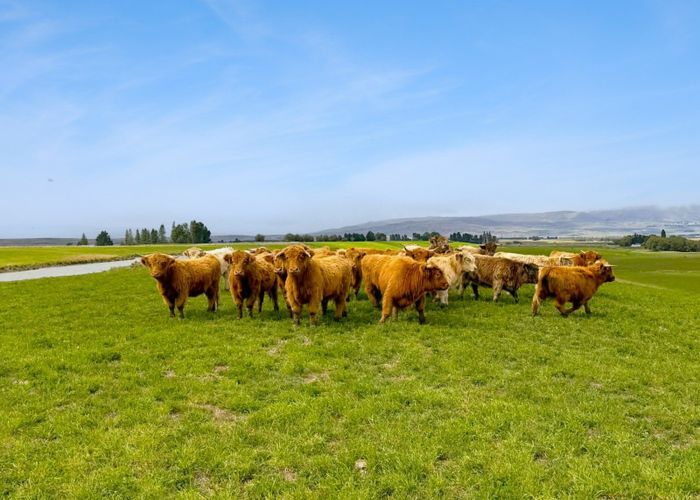  at Bypass Road, Ranfurly, Central Otago, Otago