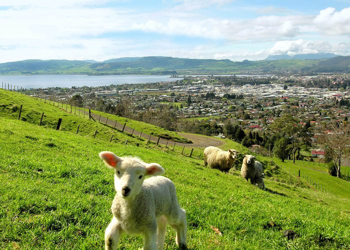  at 72 Mountain Road, Pukehangi, Rotorua, Bay Of Plenty