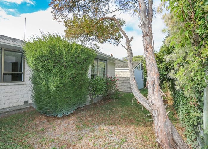  at 17A Lloyd Street, Strowan, Christchurch City, Canterbury