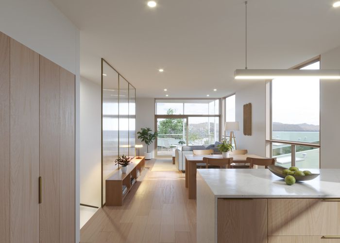  at 207 Adelaide Road, Newtown, Wellington, Wellington